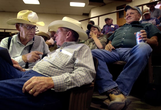 Republican Sen. Conrad Burns, center, at a cattle sale in Billings, Montana, faces Democratic candidate Jon Tester in November.