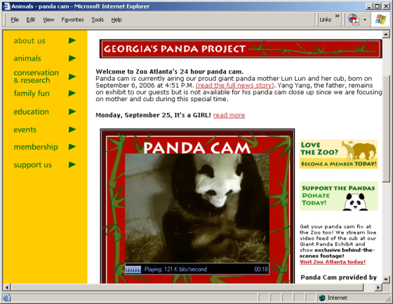 The 19 day-old panda cub is being kept from the public until she turns 100 days old. Until then, panda fans have been keeping up with the cub on the zoo's online panda cam.