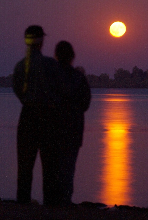 Toronto Star Archive