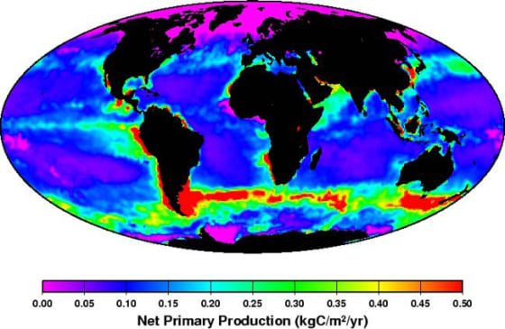 The global distribution of phytoplankton power generation as measured by satellite.