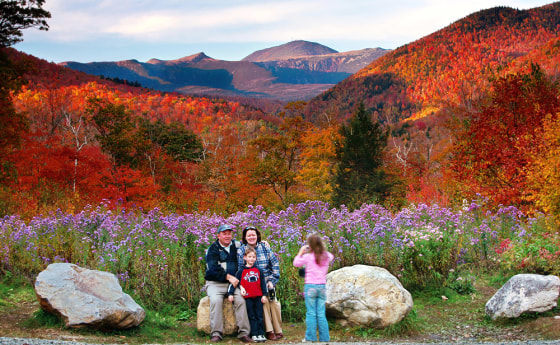 Crawford Notch State Park in New Hampshire boasts brilliant fall foliage. The radiant red hues, which come from anthocyanins, are a bit of a mystery to scientists.