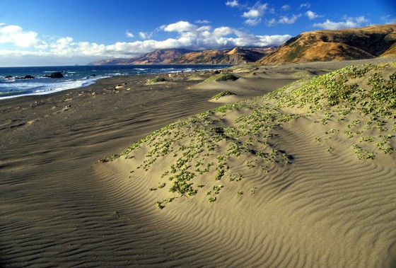 Part of King Range, the longest undeveloped coastline in the contiguous United States, is seen at