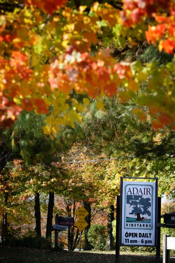Need a break from reality but don't have two weeks to spend? Perhaps a short road trip to take in some fall colors would help.
