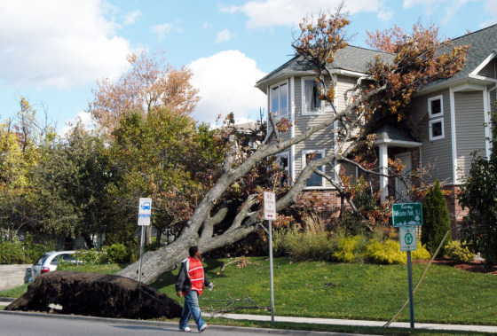 A tree uprooted by high winds rests against a new home in Palisades Park, N.J., on Sunday.