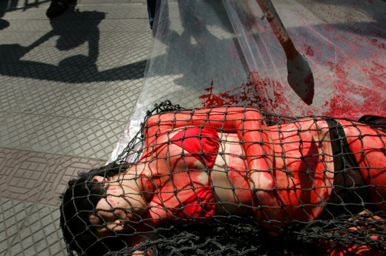 Activists protest in front of Japanese consulate in Santiago