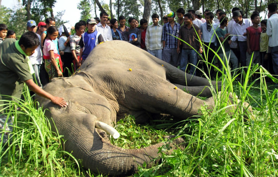 Nepalese villagers gather around the bod