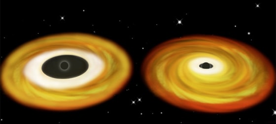 This illustration shows swirling disks of accreting gas orbiting two types of black holes, with the bulk of the X-rays pouring out of the inner region of each disk. Inside the disk, the gas suddenly plunges into the hole with no time to radiate away its energy. For the non-spinning black hole shown at left, this inner radius is large. But for the fast-spinning black hole shown at right, the gas can orbit very near the event horizon.