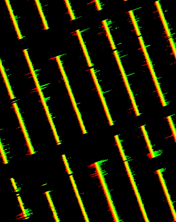 In the freely available Database of Genomic Variants, each bar represents a chromosome in the human genome. Blue shows the genomic distribution of copy number variations on each chromosome. Green marks the location of all annotated duplications, and red represents inversions and inversion breakpoints.