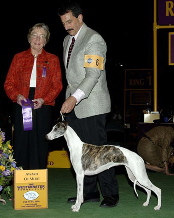 Westminster Kennel Club judge Dorothy Hutchinson, left, and part-owner Paul Lepiane pose for a photo with 3-year-old whippet Champion Bohem C'est La Vie, who answers to Vivi, on Feb. 14. The dog escaped the next day from her travel cage at Kennedy Airport.