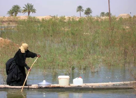 A man travels by boat through a marsh in Southern Iraq. Environmental officials in Iraq say that part of the country's marshlands have been restored, but more work is needed to revive the fragile ecosystem. 