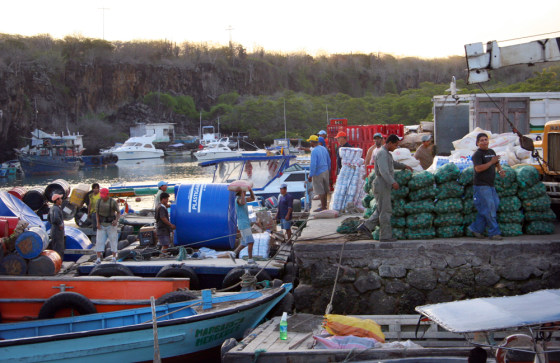 Workers in Puerto Ayoro, the largest town in the Galapagos Islands, unload cargo shipments on Friday.