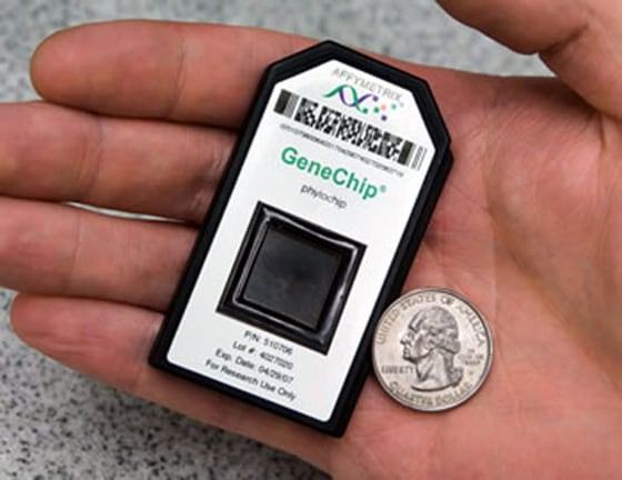 PhyloChip boasts a lot of analytical power in a small package. A DNA micro-array, it probes air samples for a gene involved in producing a protein that is found in all bacteria.
