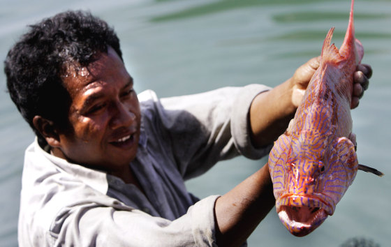 Some Asian fish species decimated, study finds