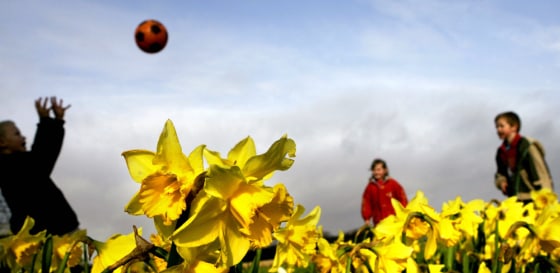 Children play 31 January 2007 in a daffo