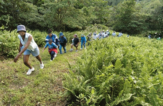 Tour guide Jadine Glitzenhirn leads a hike into the Centre Hills. 