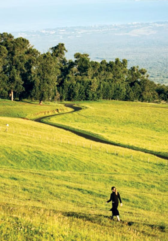 Upcountry Maui wraps around the slopes of Haleakala in a fertile ring of farms and ranches.