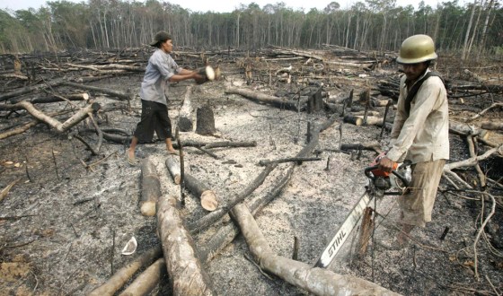 Villagers cut timbers after burning them to clear lands in Tulung Selapan, in south Sumatra province