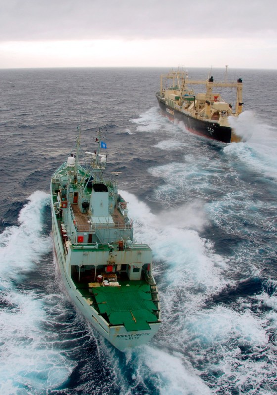 The Robert Hunter, a ship operated by the Sea Shepherd Conservation Society, follows the Japanese whaling ship Nisshin Maru in Antarctic waters