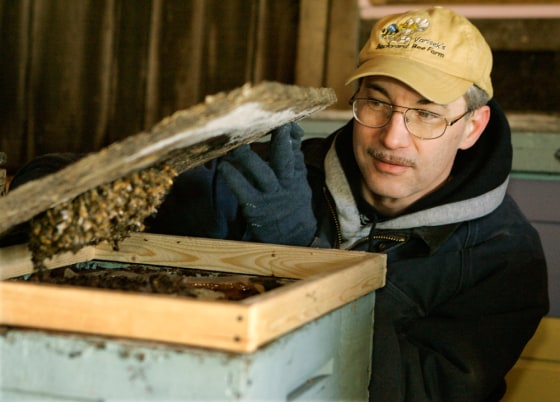 Beekeeper Charlie Vorisek looks at one of his beehives at his home in Linesville, Pa. A mystery ailment has killed off thousands of bees across the country in recent months.