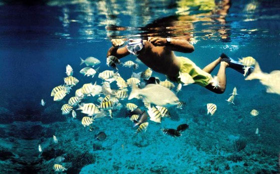 Western ports are a haven for snorkelers and scuba divers.