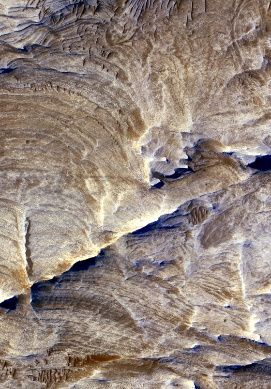 Ridges of light-toned bedrock known as "halos" remain behind as the surrounding bedrock erodes away around linear fractures in a Martian canyon known as Candor Chasma. Such features offer clues about past fluid flow and geochemical conditions within the subsurface. This image is about a half-mile (1 kilometer) across.