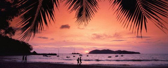 Couples Walking on Beach at Sunset