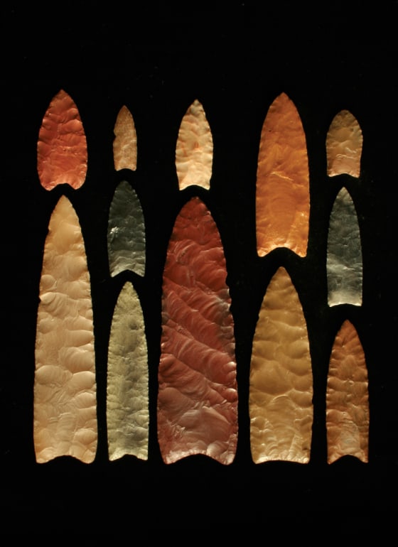 These spear points, displayed by the Center for the Study of the First Americans, have been attributed to the ancient Clovis culture.