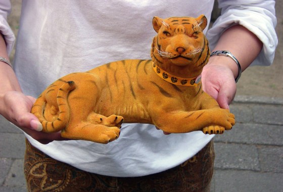 Traffic: Tigers, China