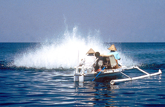 Dynamite fishing tracked with listening devices