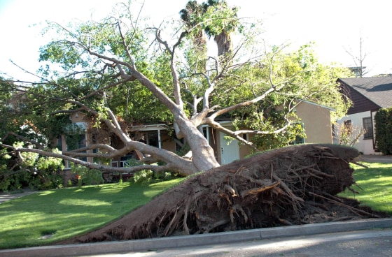 Tuesday's wild weather left nearly 185,000 powerless and caused damage to homes across the Los Angeles area, including this home in the San Fernando Valley.