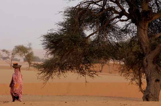 ** ADVANCE FOR SUNDAY, APRIL 1 ** A Mauritanian nomad woman walks past a tree in the desert, on the outskirts of Chinguetti, Mauritania, Tuesday, March 13, 2007. Research shows a host of trees retreating from the arid region south of the Sahara Desert known as the Sahel over recent decades, with trees like Dimb losing ground to more arid species. (AP Photo/Schalk van Zuydam)