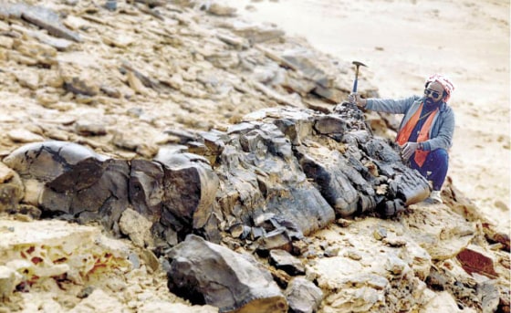 A Prototaxites fossil in the desert of Saudi Arabia. Reprinted from Review of Paleobotany and Palynology, Vol. 116, "Rotted Wood-Alga-Fungus: The History and Life of Prototaxites Dawson 1959," by Francis Hueber, p. 146, Smithsonian Institution, Copyright 2001, with permission from Elsevier.
