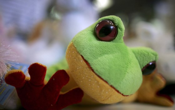 Webkinz sparks a craze and a shortage