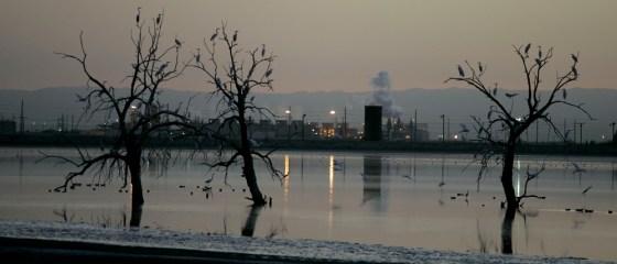 The view from the Sonny Bono Salton Sea National Wildlife Refuge in Calipatria, Calif., includes a power plant in the distance.