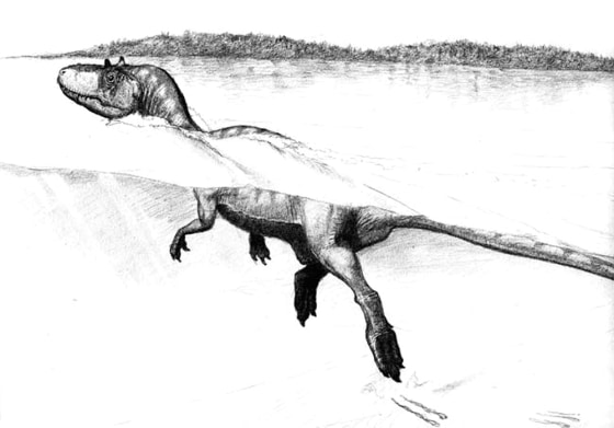 Sketch of a swimming theropod dinosaur on the shores of the Cretaceous lake Cameros in Spain. 