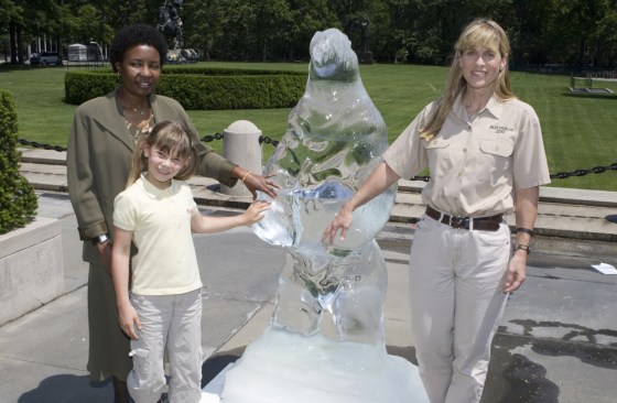 BINDI AND TERRI IRWIN CELEBRATE WORLD ENVIRONMENT DAY AT THE UNITED NATIONS