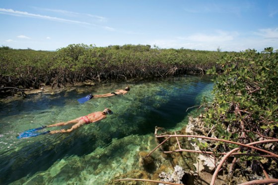 Snorkeling Andros Island's 'The Crack' - part of a 93-mile fracture that connects the world’s longest string of blue holes and serve as watery entrances to its subterranean wonderland of caves.