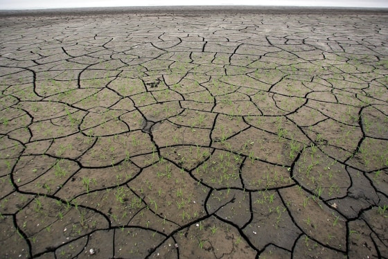Lake Okeechobee Water Level Drops To Historic Lows