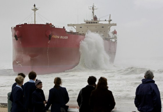 Pasha Bulker
