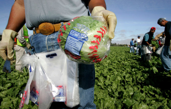 Tanimura and Antle, the world's largest lettuce grower, is packaging iceberg in baseball-themed wrapping and linking it to Fathers Day in advertising. Iceberg is still the most popular lettuce, but it is losing ground to other greens.