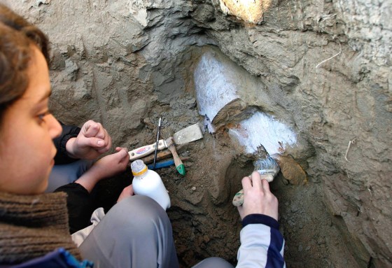 To match feature CHILE/WHALES