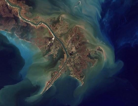 This 1999 NASA satellite image shows effluents deposited at the Mississippi River delta. Those deposits include topsoil as well as nitrogen-based farm fertilizer runoff, which depletes the surrounding water of oxygen.