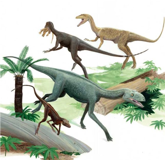 The coexistence of closely-related dinosaurs like those depicted in this illustration shows that the rise of dinosaurs was prolonged rather than sudden.
