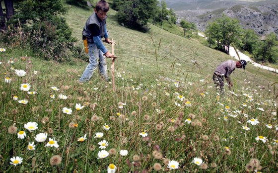 To match feature BOSNIA-TOURISM/