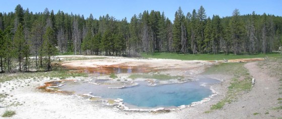 A new type of bacterium that converts light to energy was found in a hot spring at Yellowstone National Park. 