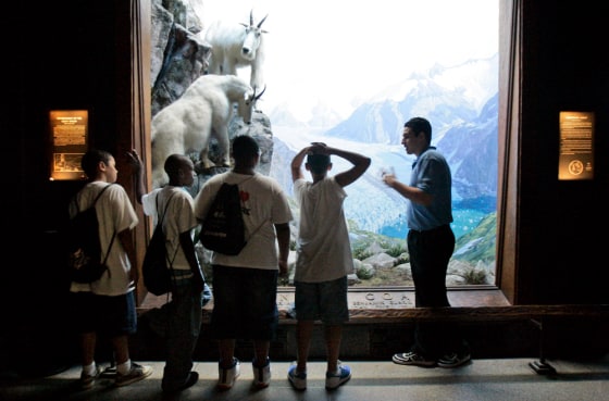 Hassan Mohamed, 19, right, tells students from the P168 school in the Bronx about mountain goats during his "Attack and Defense" tour of the American Museum of Natural History in New York.