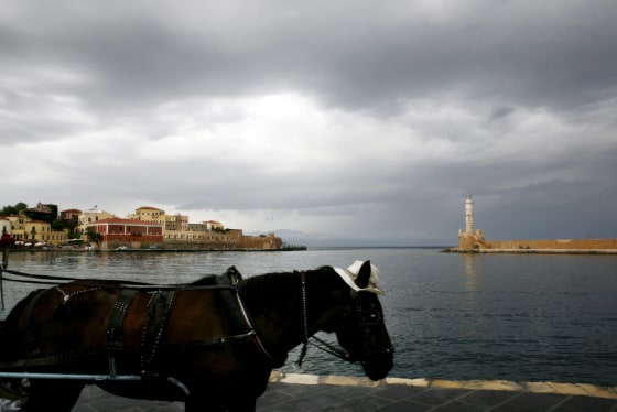 A carriage horse waits for tourists at t