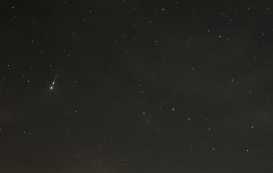 Kappa Cygnid meteor, shown here, popped up unexpectedly during the Perseids meteor shower. An astronomer wonders if these light shows will ever be as predictable as lunar eclipses.