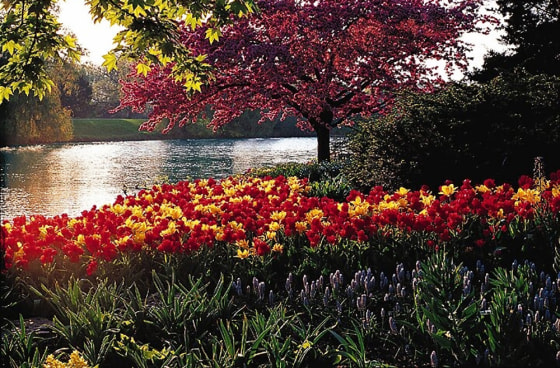 The Chicago Botanic Garden features 23 beautiful gardens and three native habitats set on 385 acres of rolling hills and tranquil lakes. 