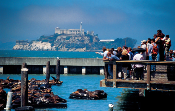 Visitors enjoy watching the sea lions at San Francisco's Pier 39 with Alcatraz in the background.